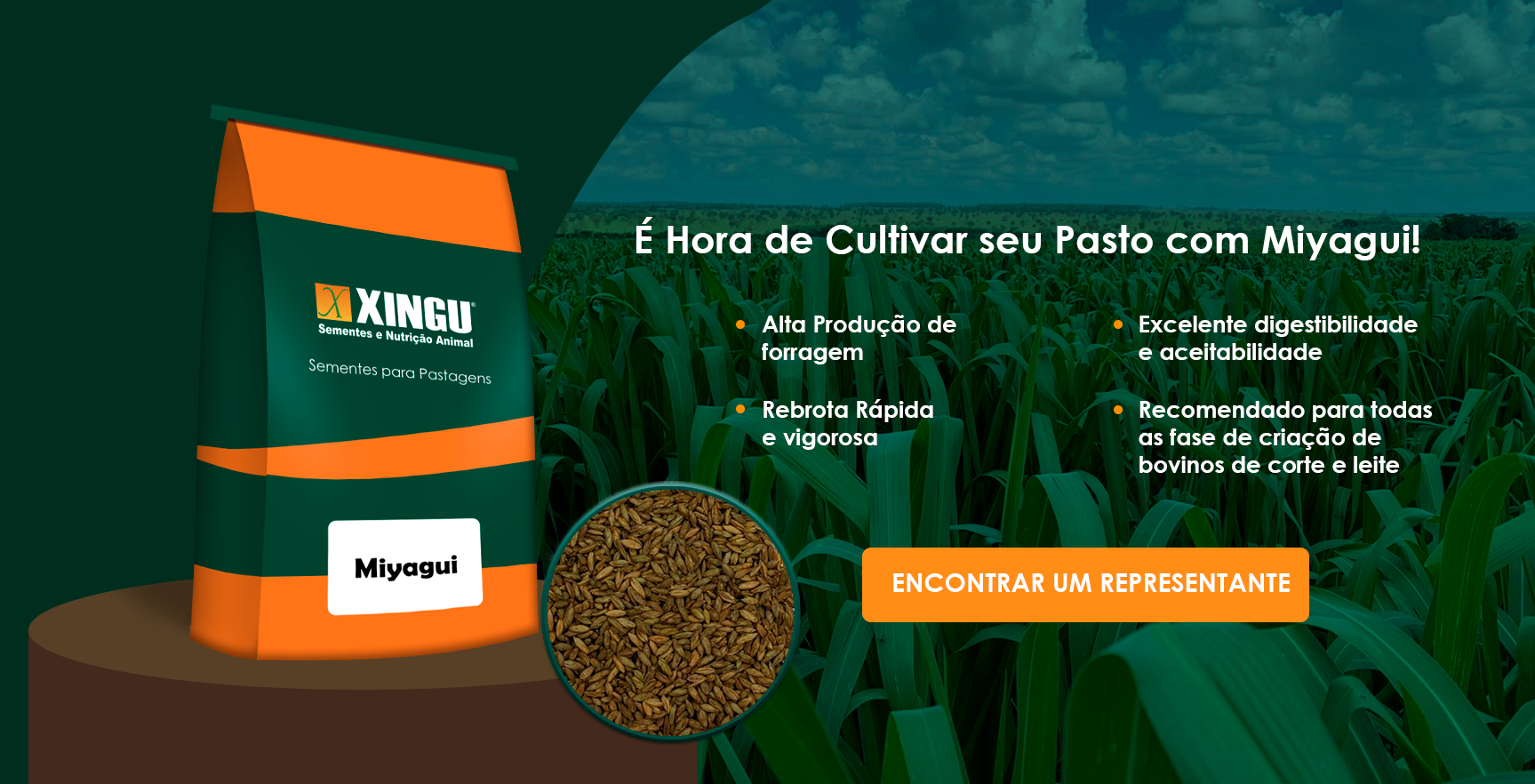Xingu - Sementes e Nutricao Animal